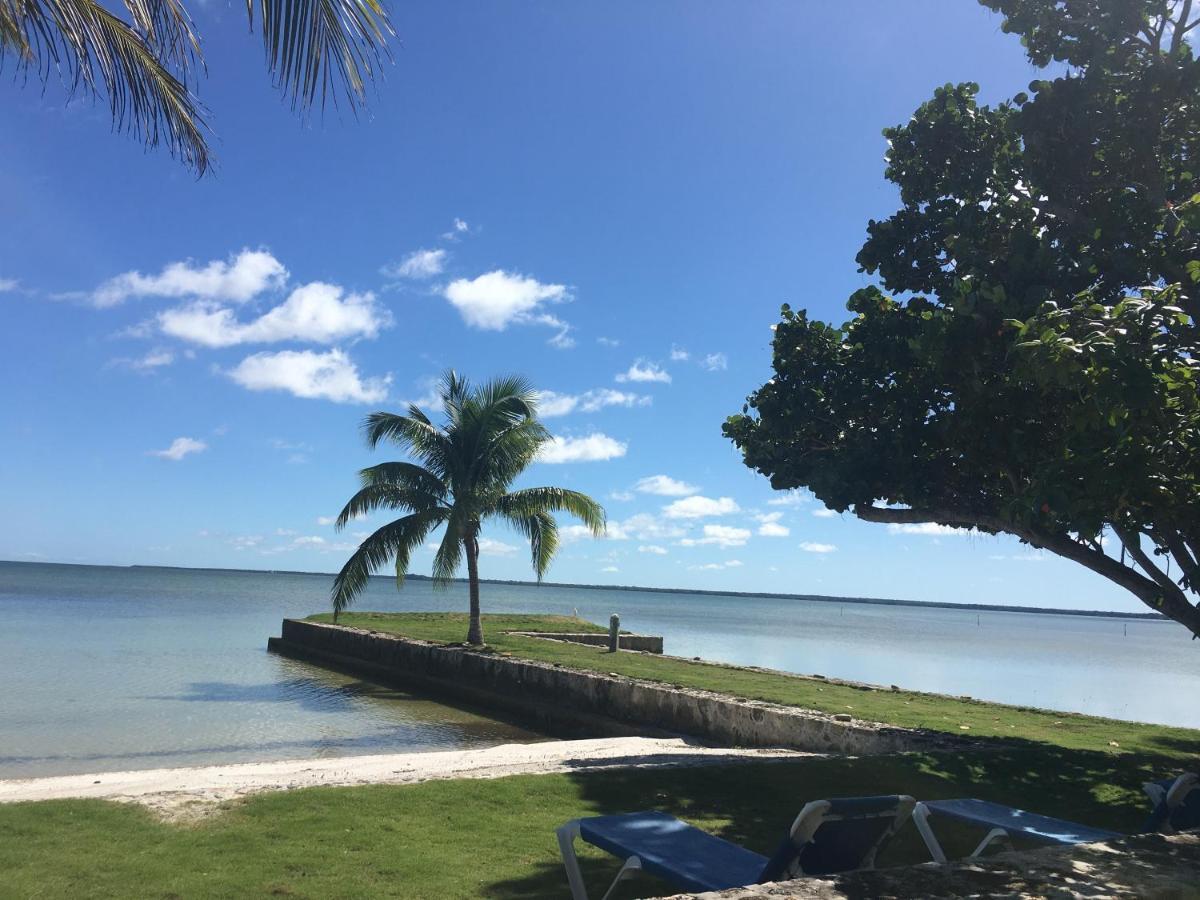 Almond Tree Hotel Resort Corozal Bagian luar foto