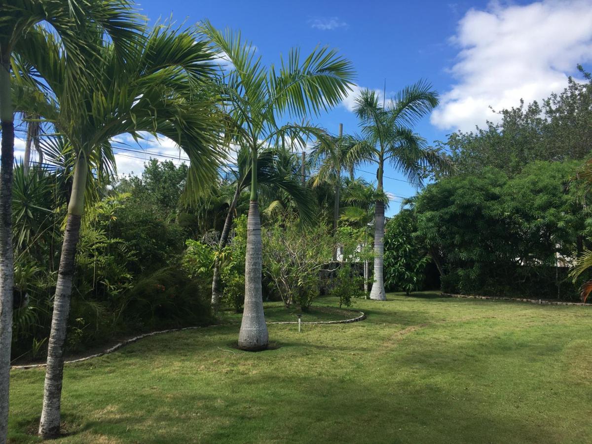 Almond Tree Hotel Resort Corozal Bagian luar foto