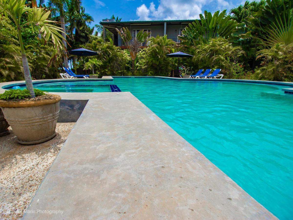 Almond Tree Hotel Resort Corozal Bagian luar foto