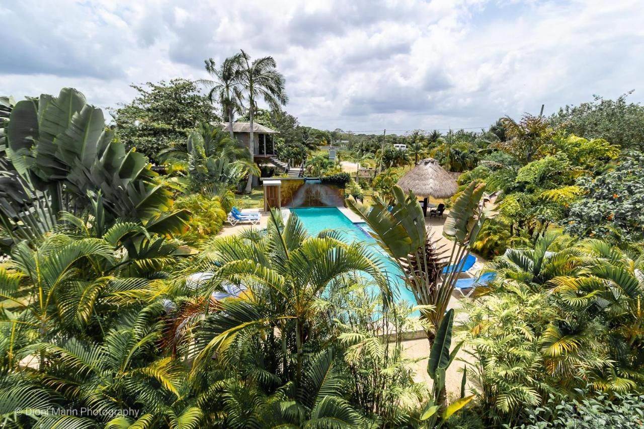 Almond Tree Hotel Resort Corozal Bagian luar foto