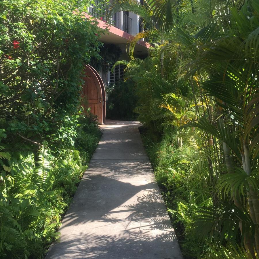 Almond Tree Hotel Resort Corozal Bagian luar foto