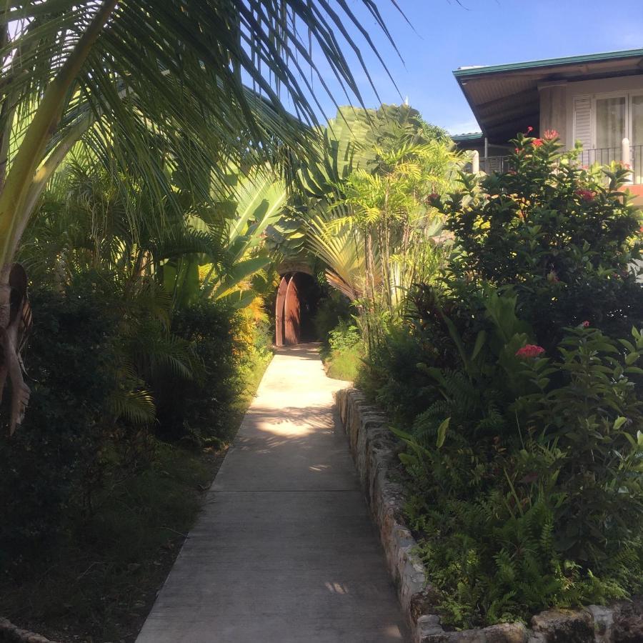 Almond Tree Hotel Resort Corozal Bagian luar foto