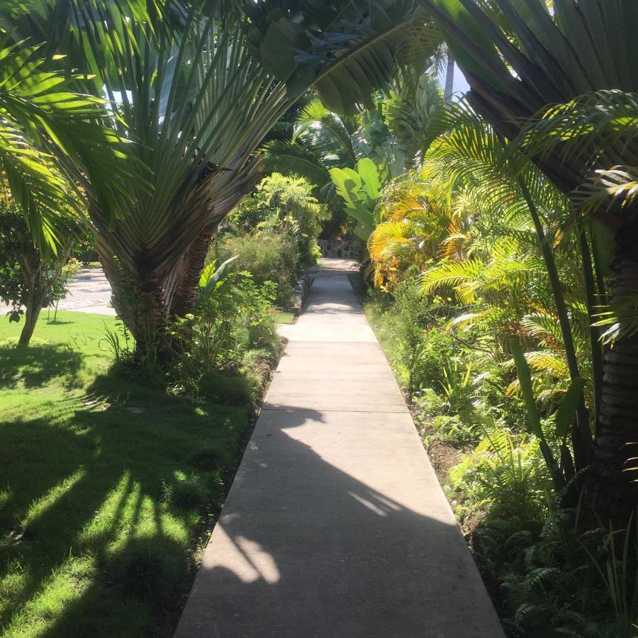 Almond Tree Hotel Resort Corozal Bagian luar foto