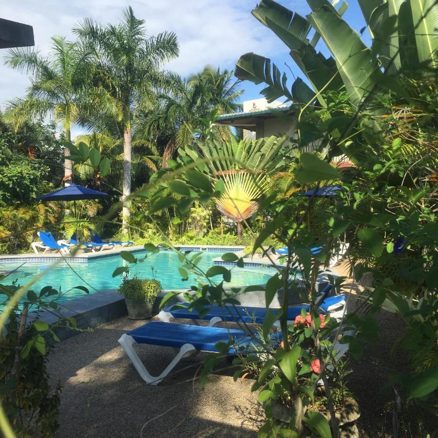Almond Tree Hotel Resort Corozal Bagian luar foto